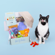 Monthly Cat Box
