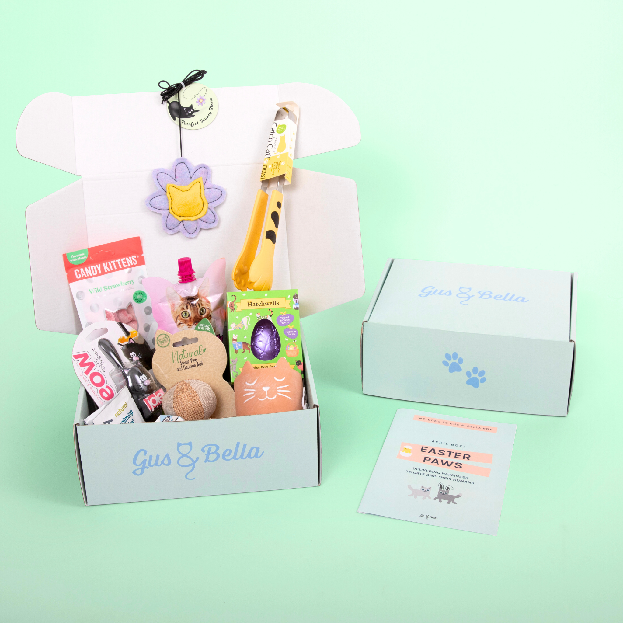 One-Off Cat Gift Box
