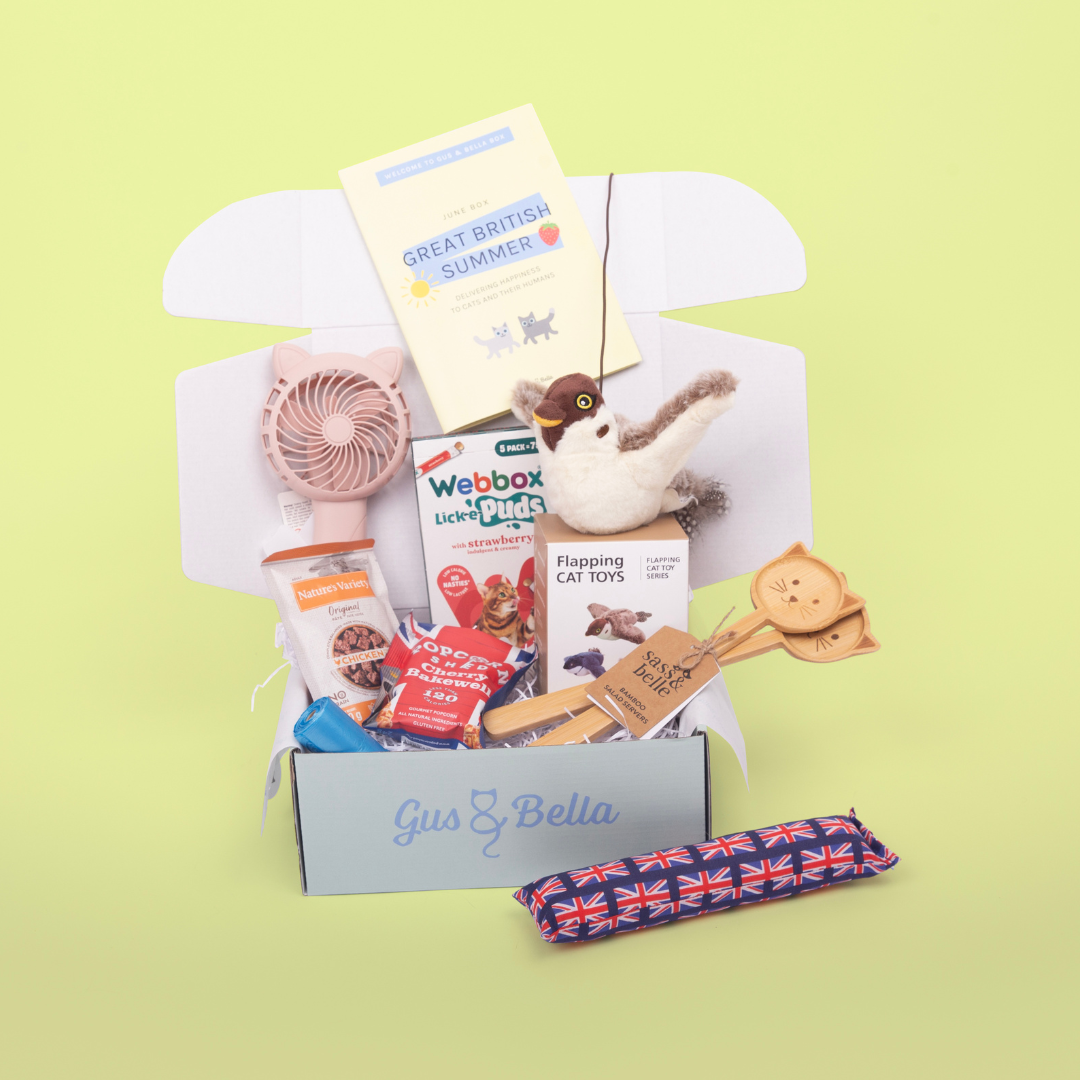 One-Off Cat Gift Box