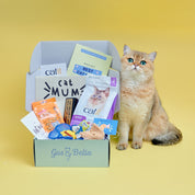 One-Off Cat Gift Box