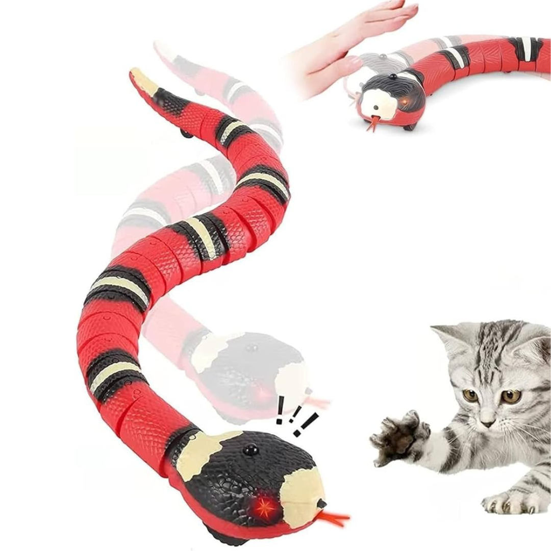 One Off Cat Gift Box 9 gifts for cats cat lovers Gus Bella