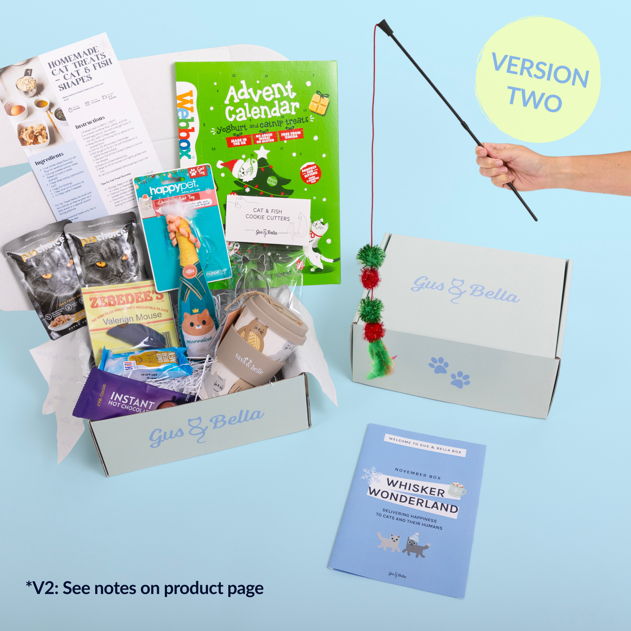 One-Off Cat Gift Box