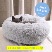 Monthly Cat Box