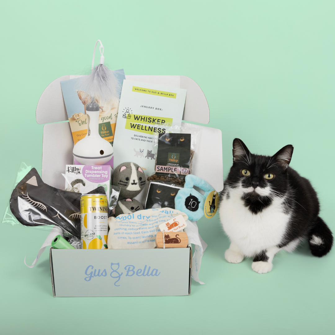 One-Off Cat Gift Box