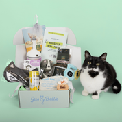 One-Off Cat Gift Box