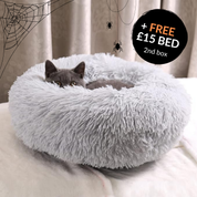 Monthly Cat Box + FREE GIFT