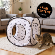 Monthly Cat Box + FREE GIFT