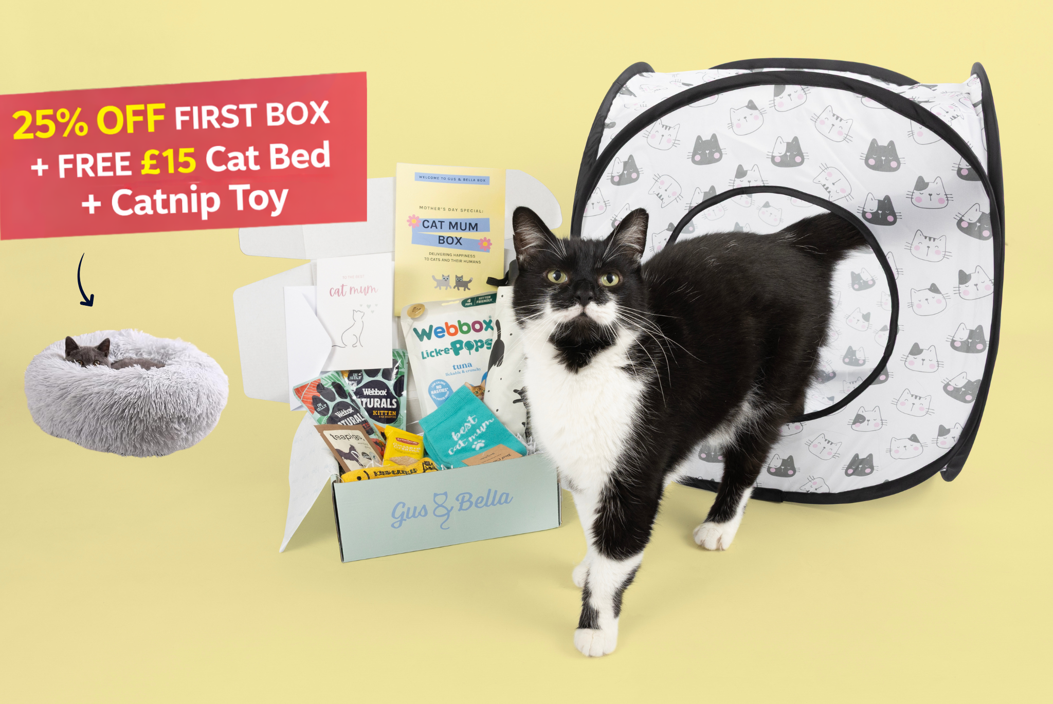 black and white cat stood next to gus & bella march box
