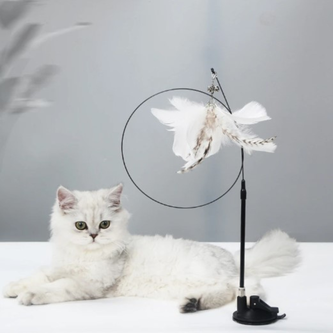 Self Play Bird Teaser Toy with Suction Cup