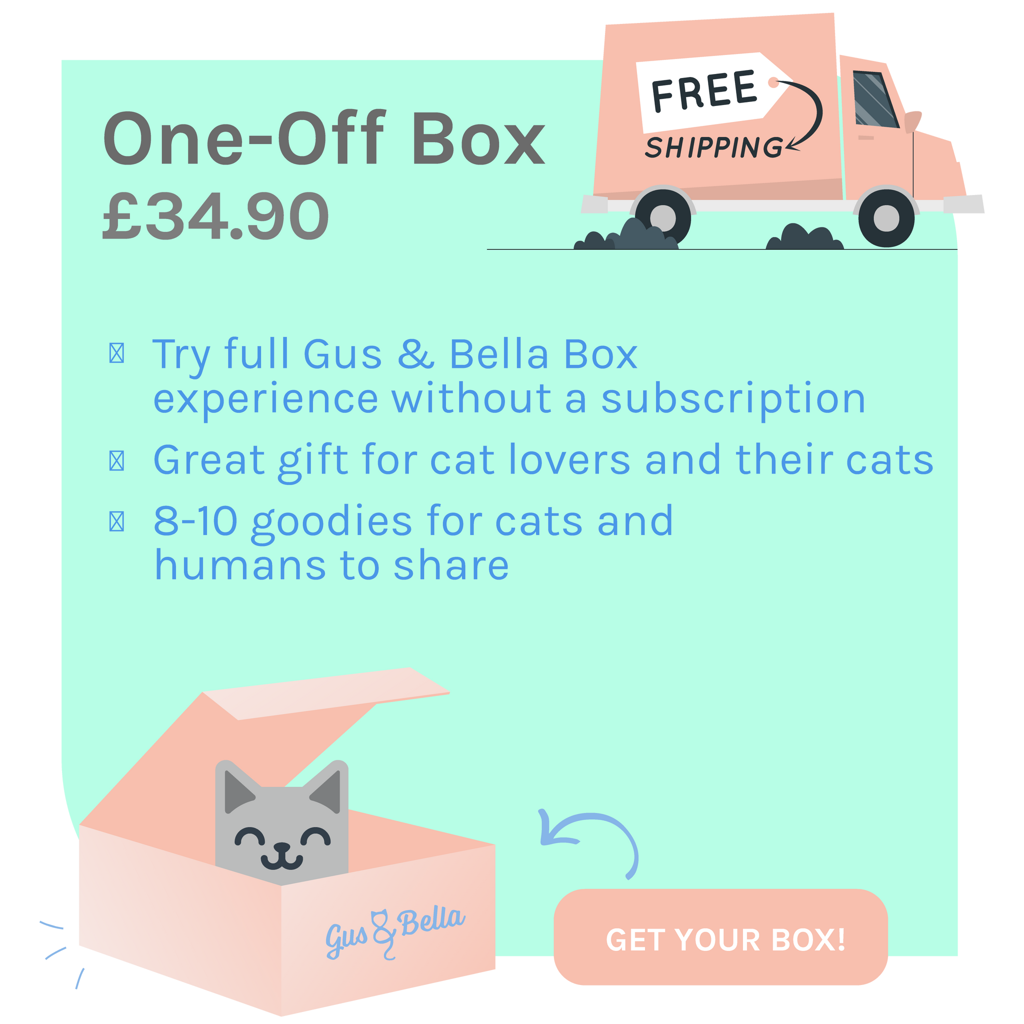 One Off Cat Gift Box 9 gifts for cats cat lovers Gus Bella